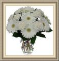 Weinstock’s Flowers & Gifts, 5290 Roswell Rd NW, Atlanta, GA 30062, (770)_419-3747